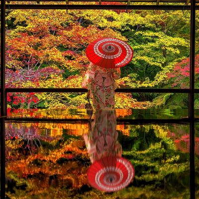 とにかく安くいきたい!11月 大阪ツアー・USJツアーイメージ